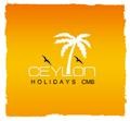 Travel & Tourism
