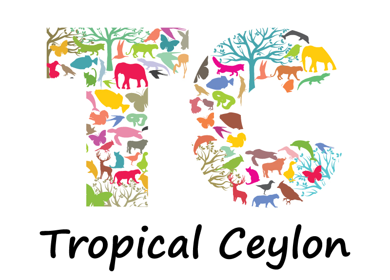 Tropical Ceylon