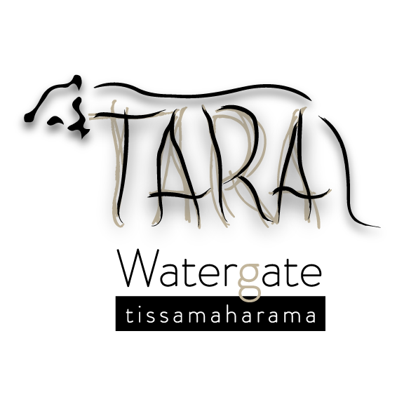 Tara