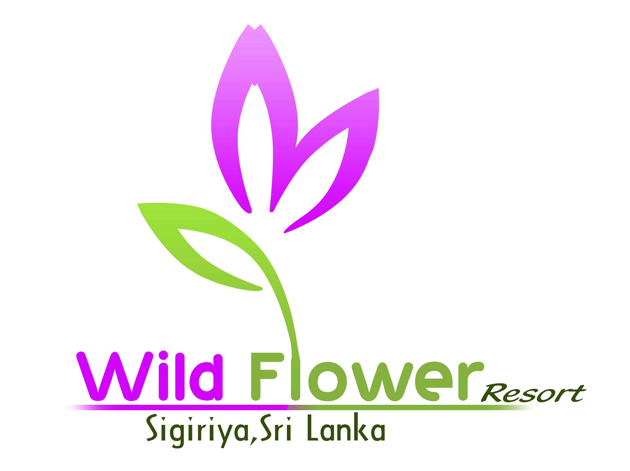 Wild Flower Resort
