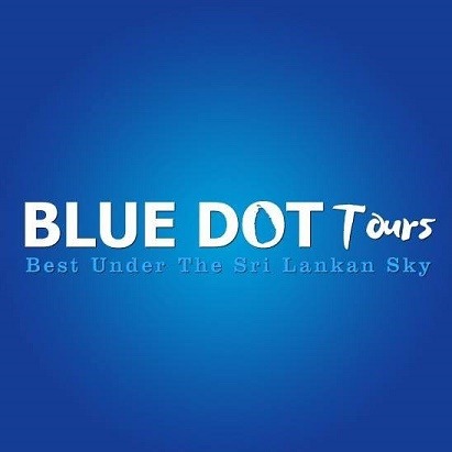 Blue Dot Tours