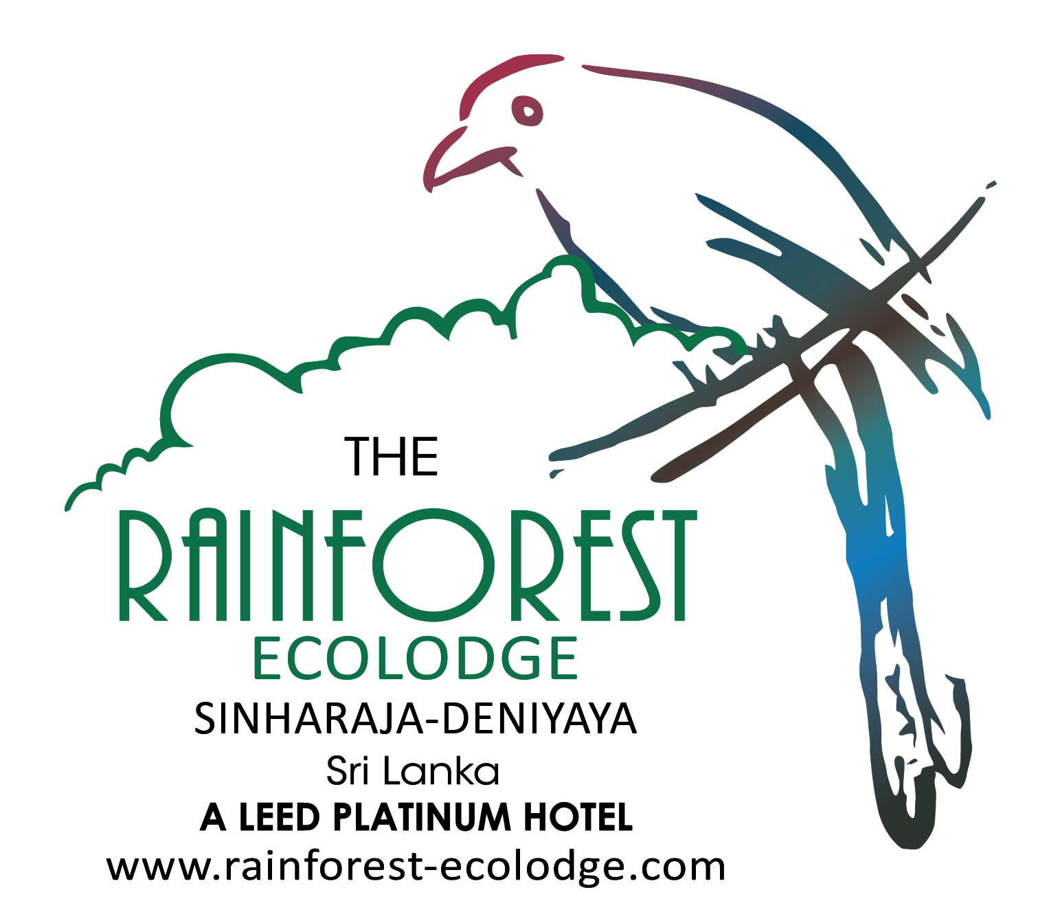 The Rainforest Ecolodge - Deniyaya