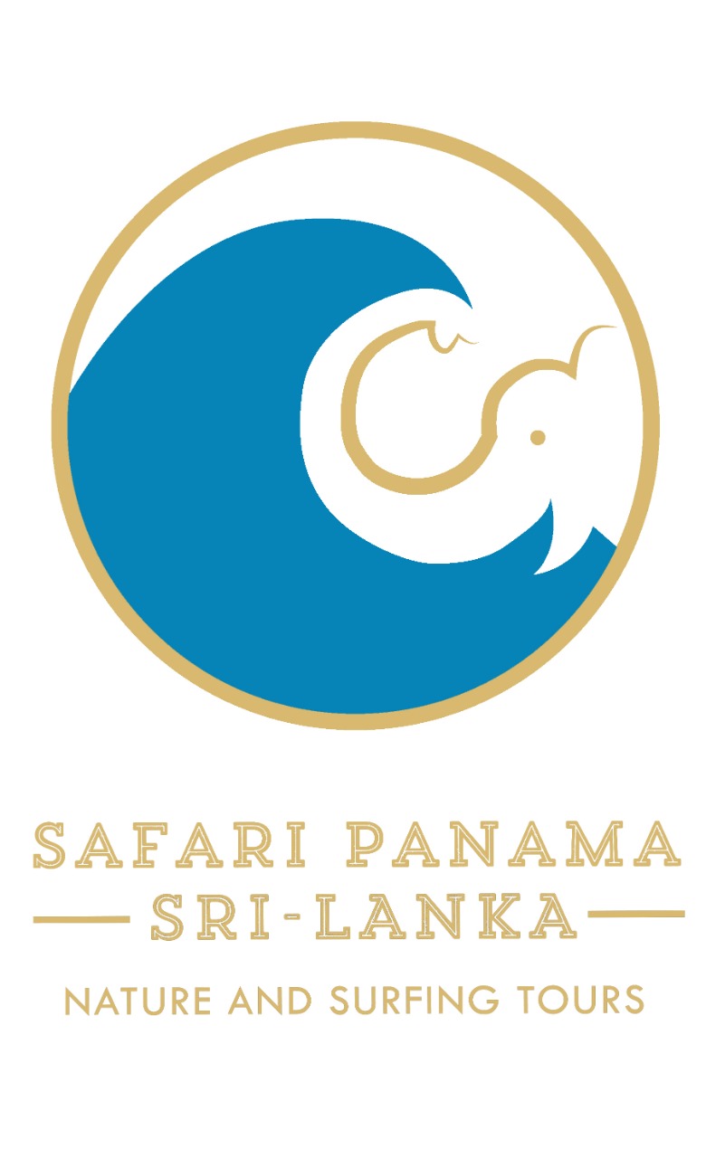 Safari Panama