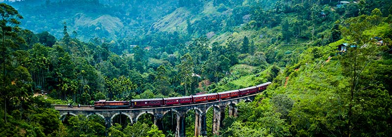 SLTPB Organizes a “Sri Lanka Tourism – Post-Covid-19” Webinar Via the Online Platform of the Association of Tour Operators of Russia.