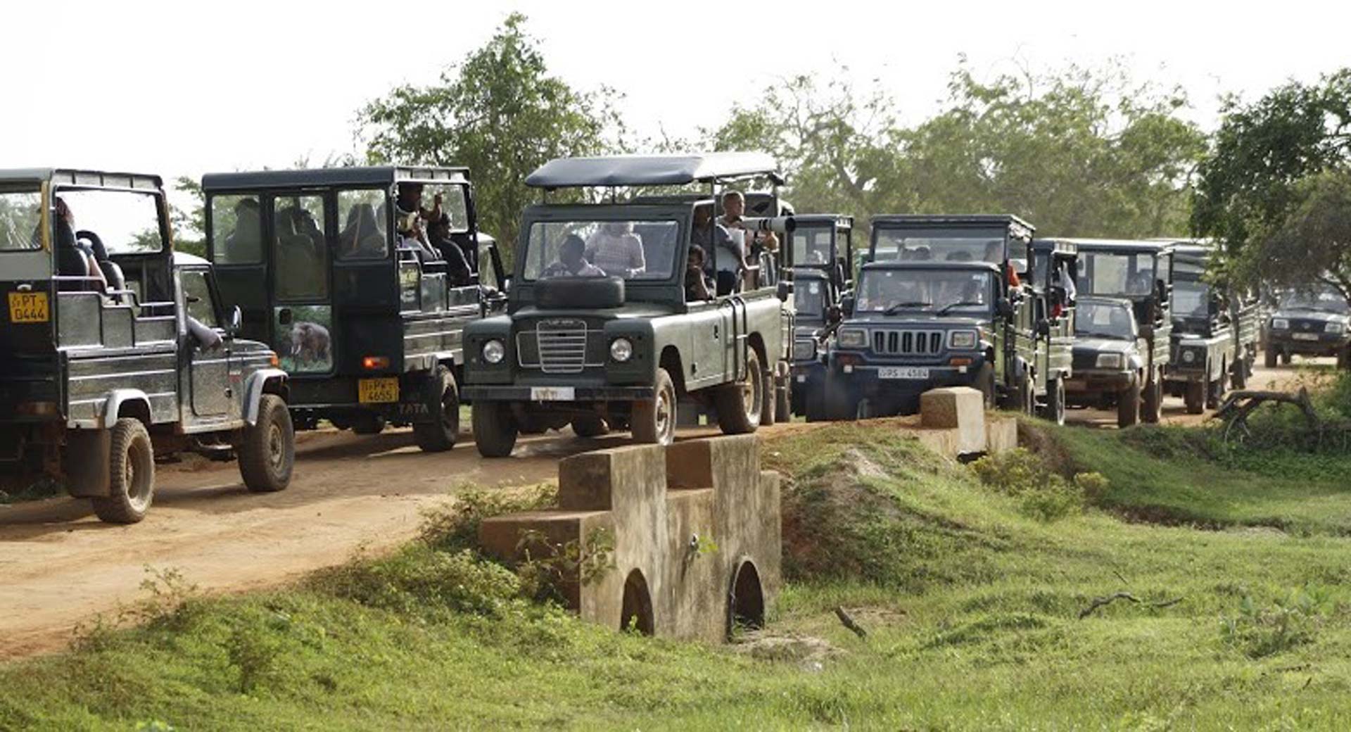 sri lanka wildlife tourism