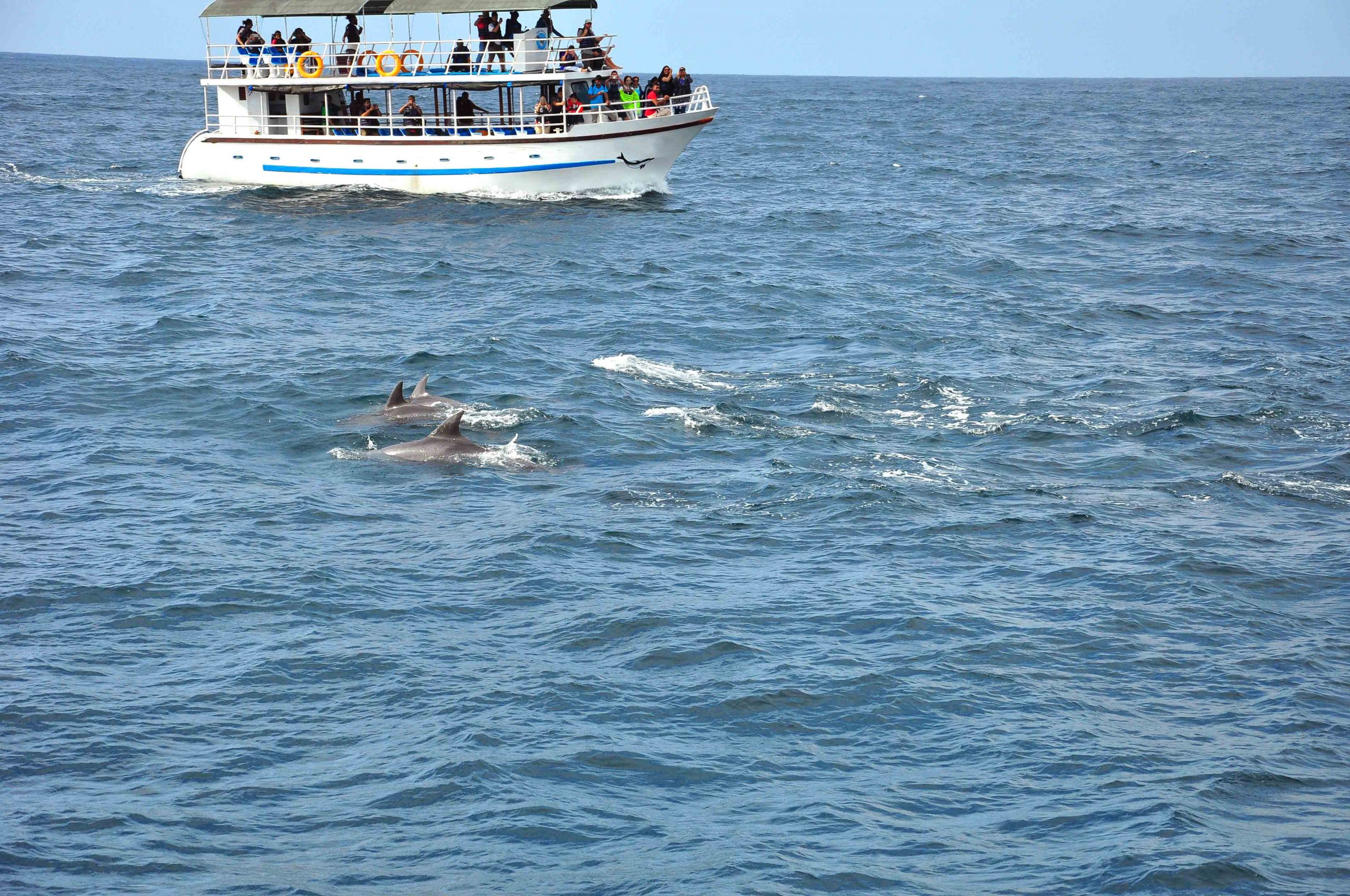 nature tourism in sri lanka