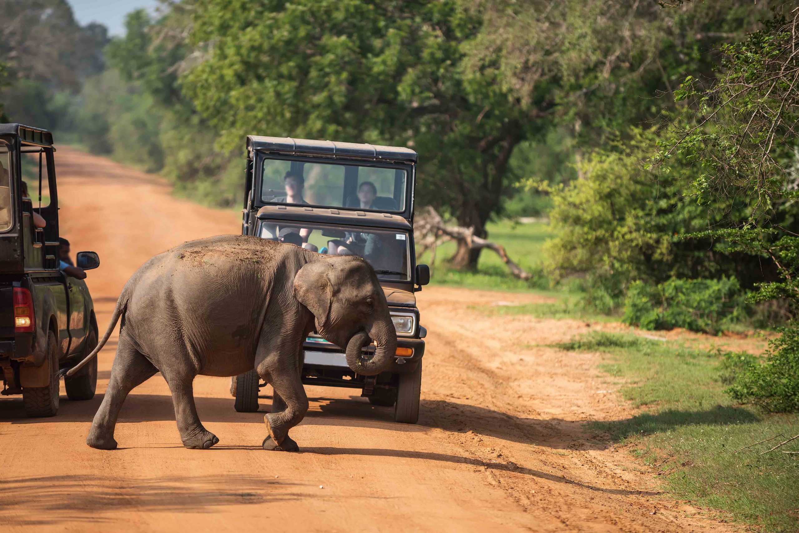 nature tourism in sri lanka